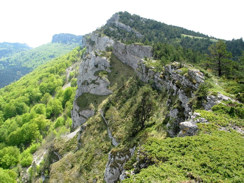 Mendebaldeko gandorretik