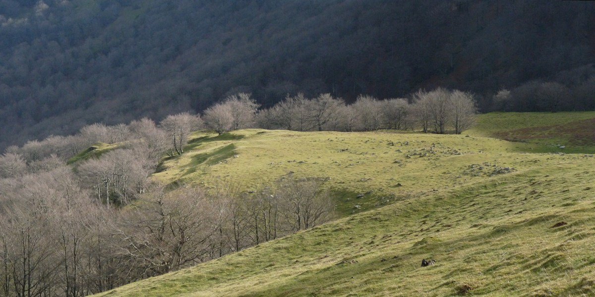 Adiko Soroko harrespilak goitik