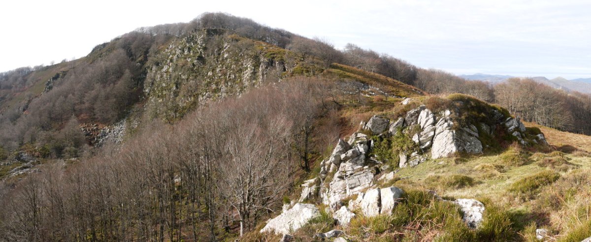 Loiketa, Algorrieta eta bien arteko lepotik