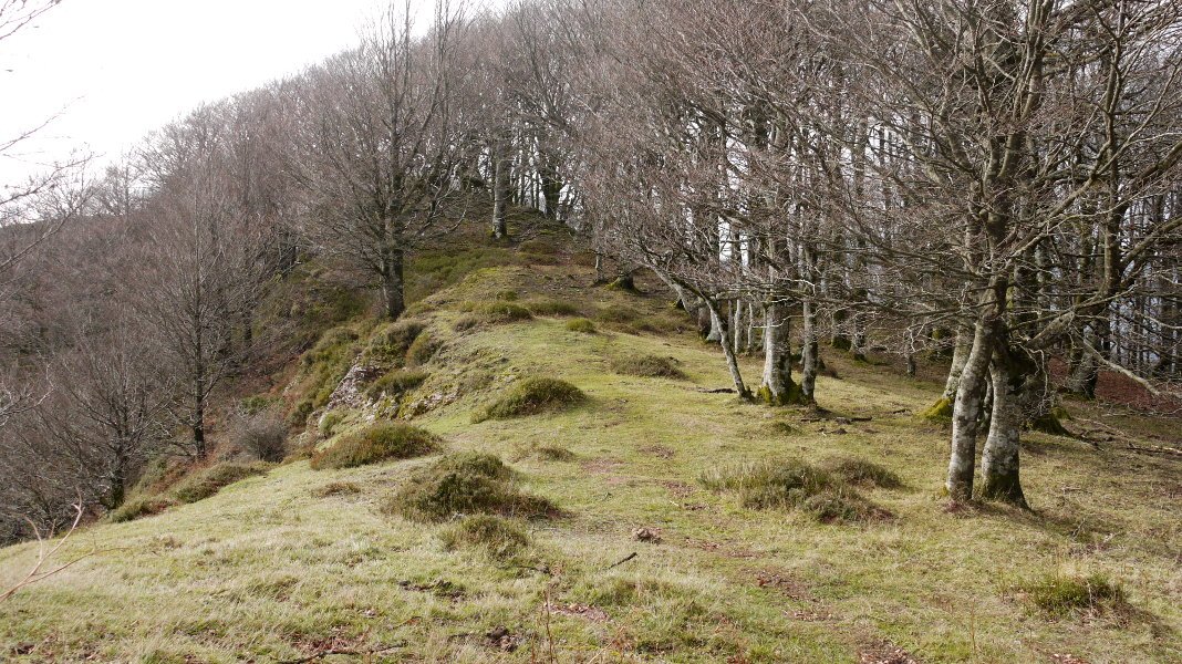 Loiketako gandorreko bidea