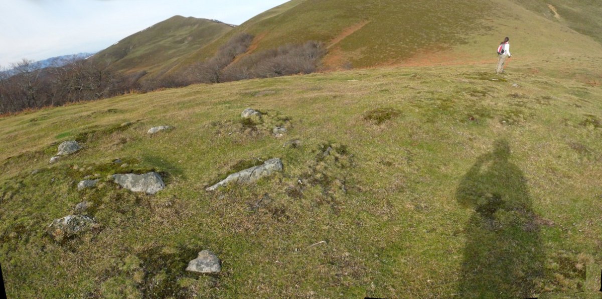 Sagardegiko lepoko harrespilak