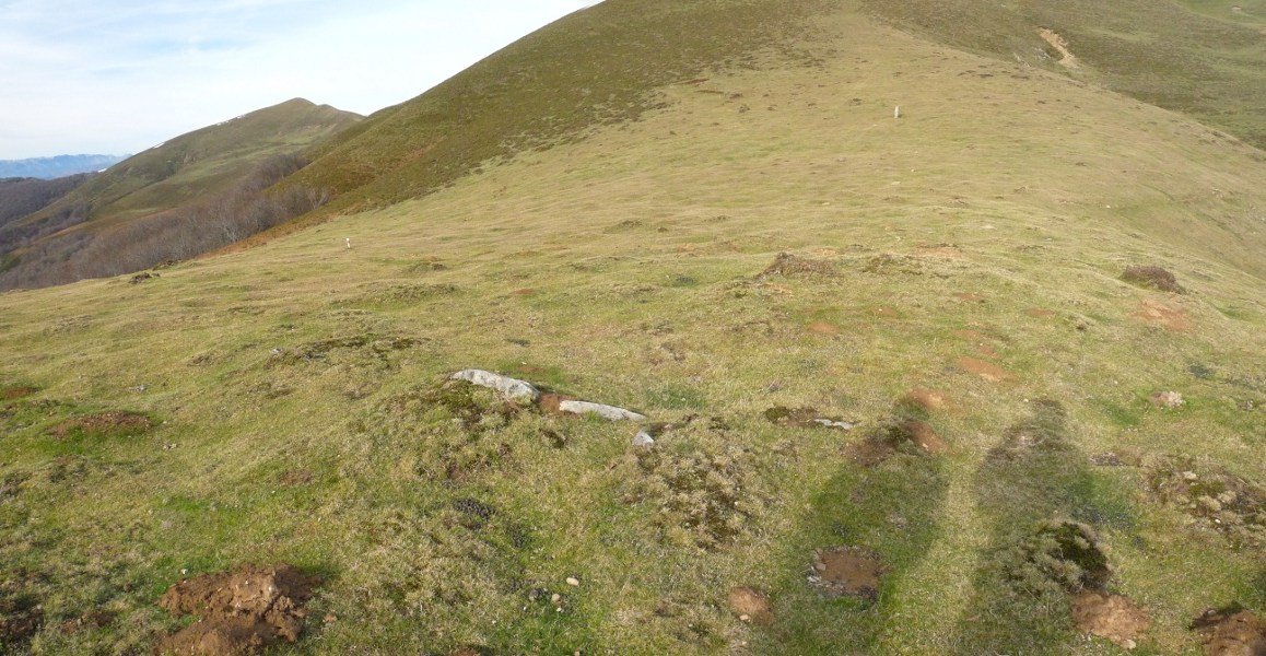 Sagardegiko lepoko harrespilak