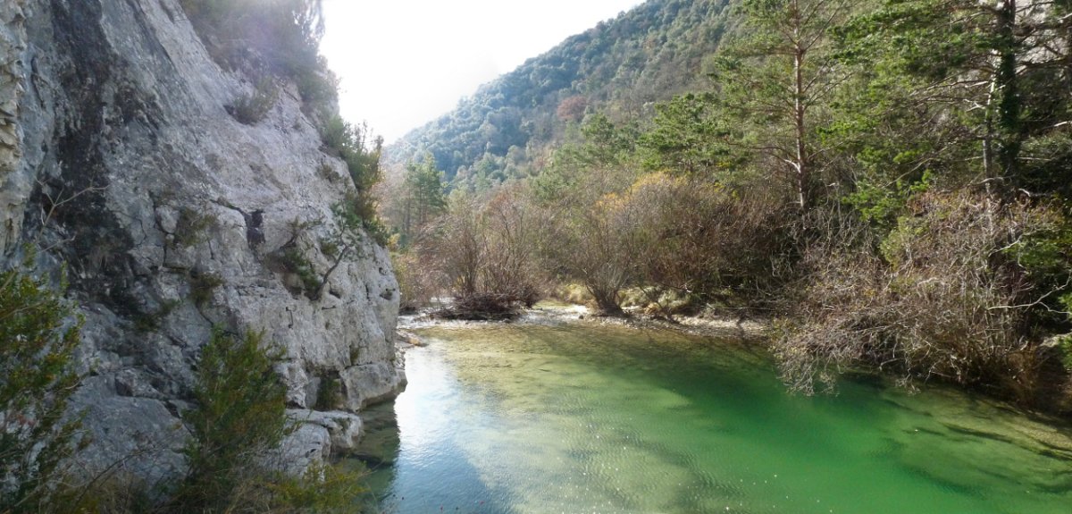 Santa Kolonbako arroila