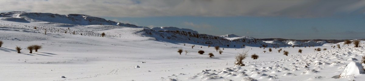 Dorrokotekako gandorrak