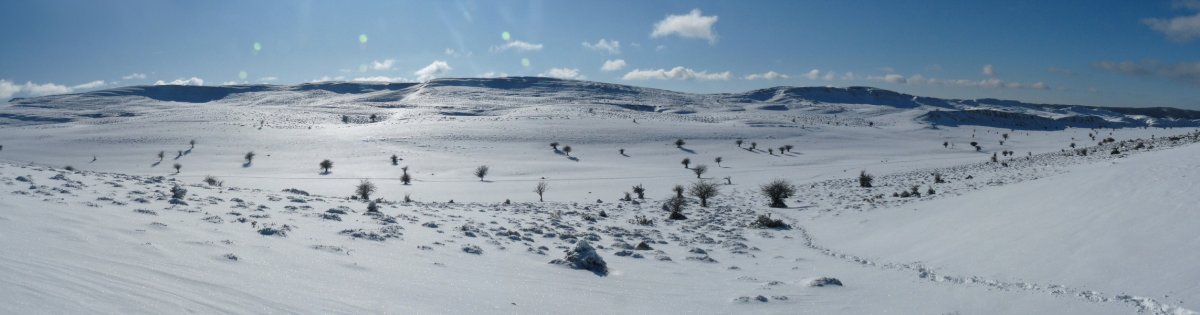 Dorrokotekako gandorrak