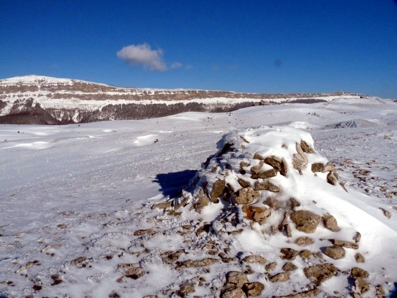 Dorrokotekako gailurra