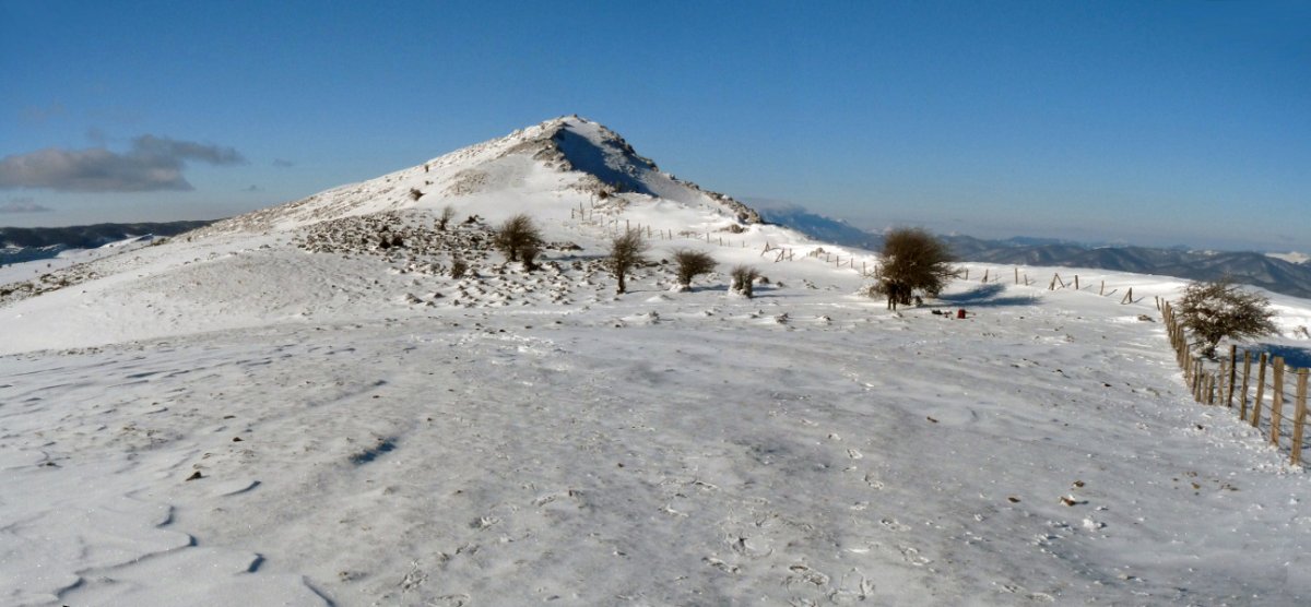 Saratsa gaina, ekialdeko lepotik