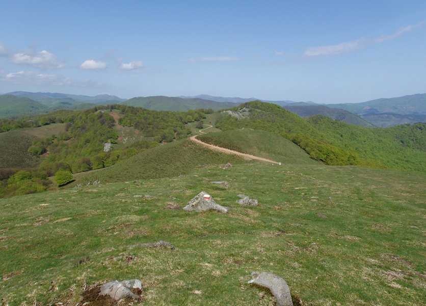 Sanmigelargaingo gailur bikoitza eta Bagaundiko lepoa