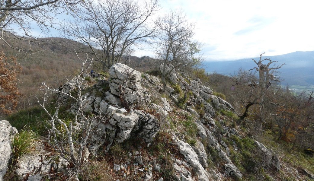 Gainolarriko gailurra