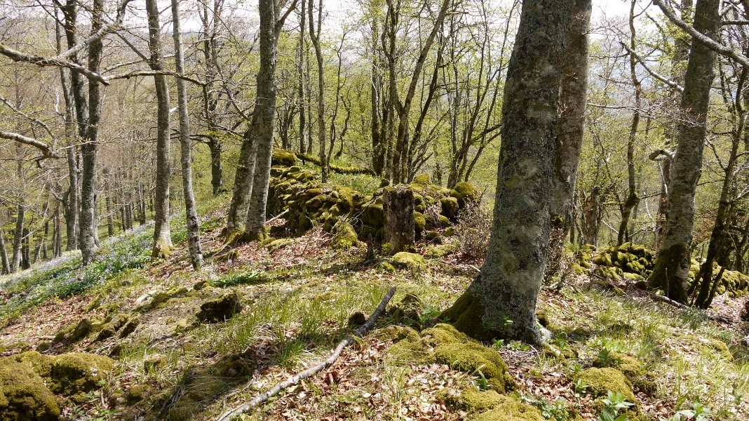 Tontorraren inguruak