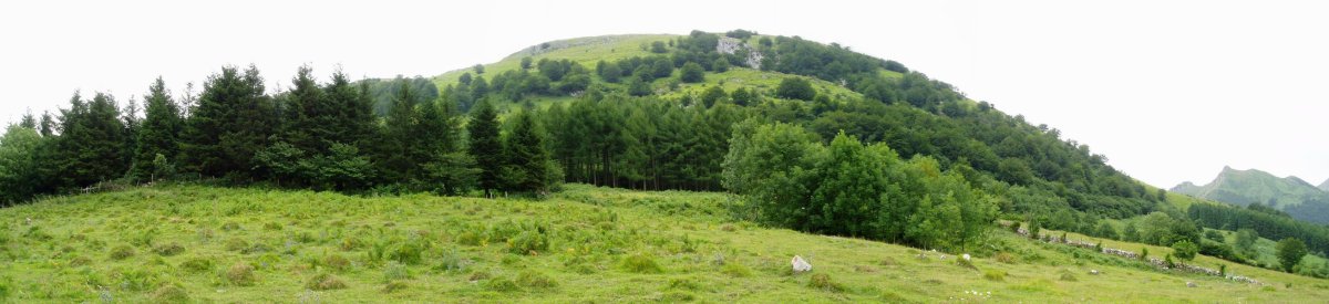 Kardelu iturritik ikusita