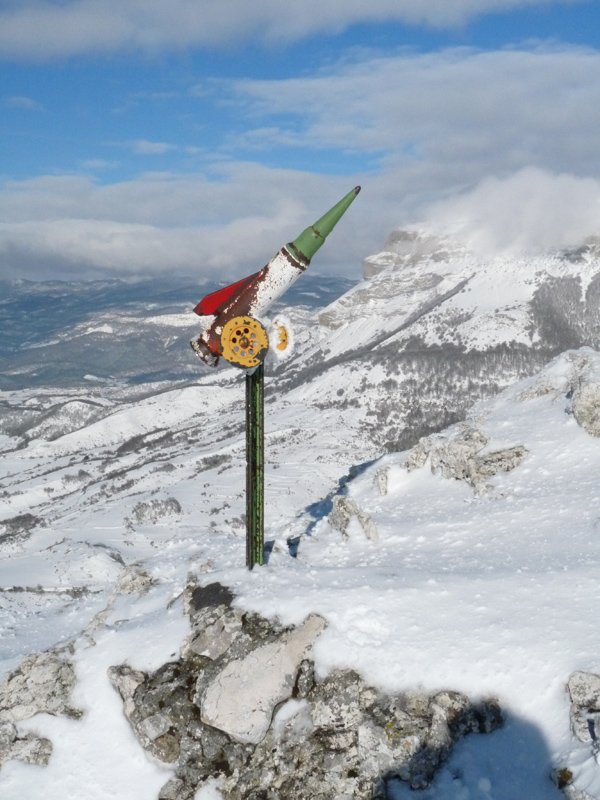 Saratsako txartelontzia