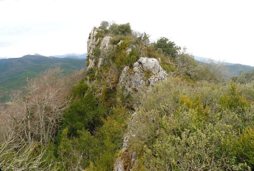 Aginagako Harriko gailurra