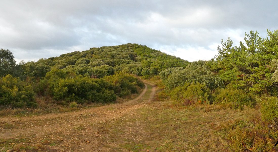 Txaparro eta San Martin arteko lepoa