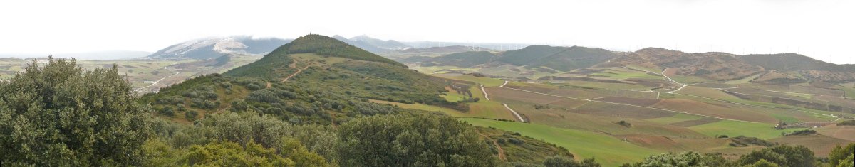 San Martin, Txaparrotik