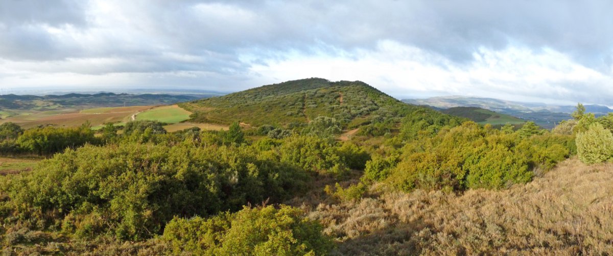 Txaparro San Martingo hegietatik