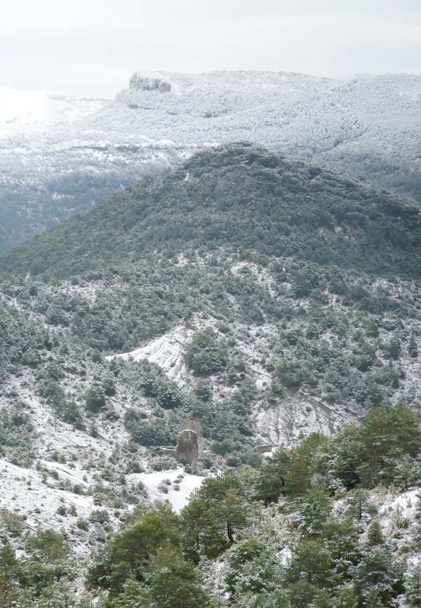 Alotz herrixkaren hondakinak