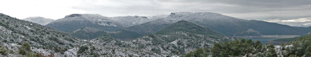 Zarikietako gain elurtuak