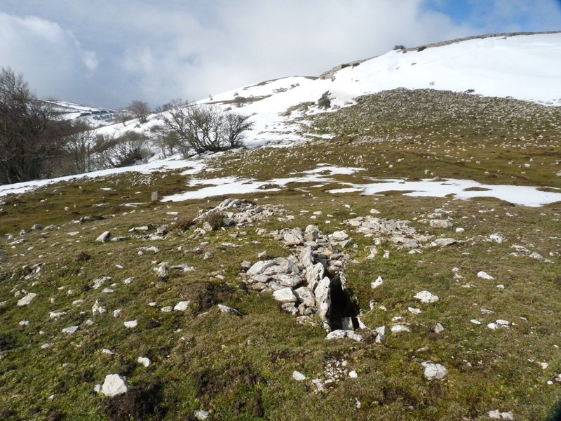 Trekua Goñi trikuharria