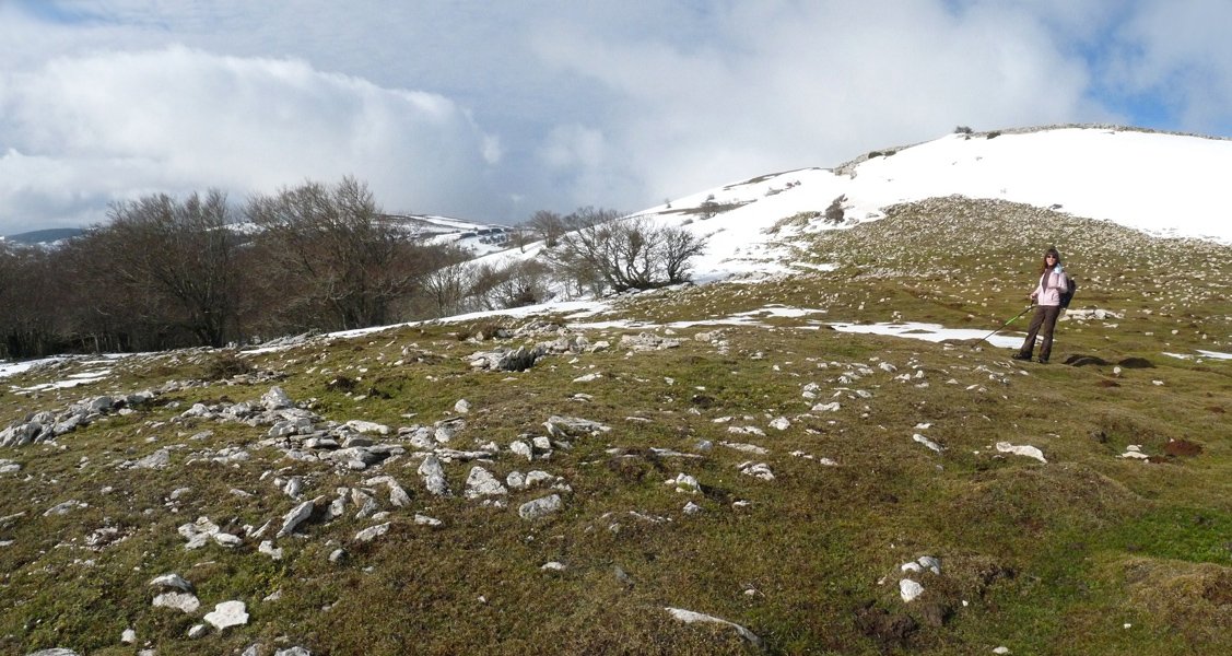 Trekua Goñi trikuharria