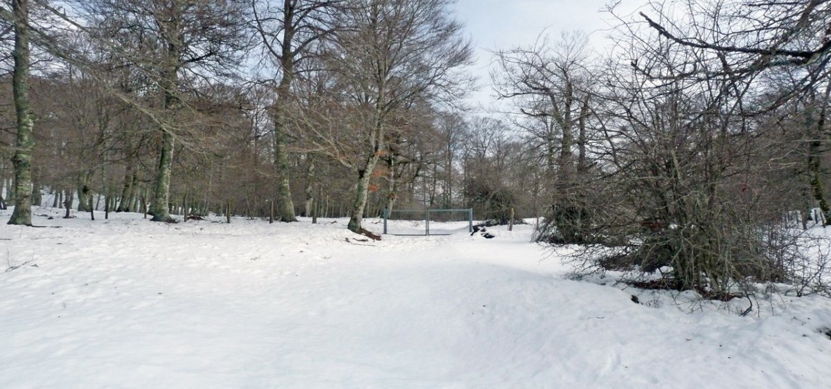 Langa, Bordas Viejasen hegoaldeko basoan
