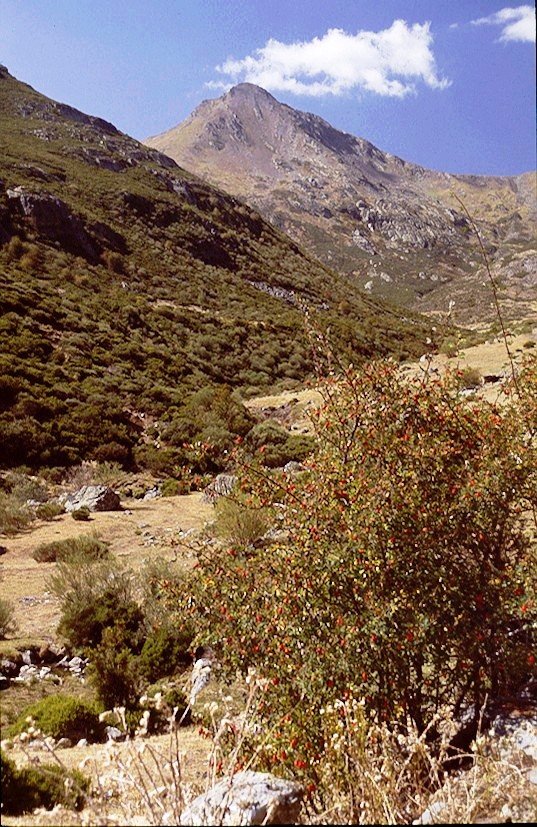 Pico Murcia, igoerako bidetik
