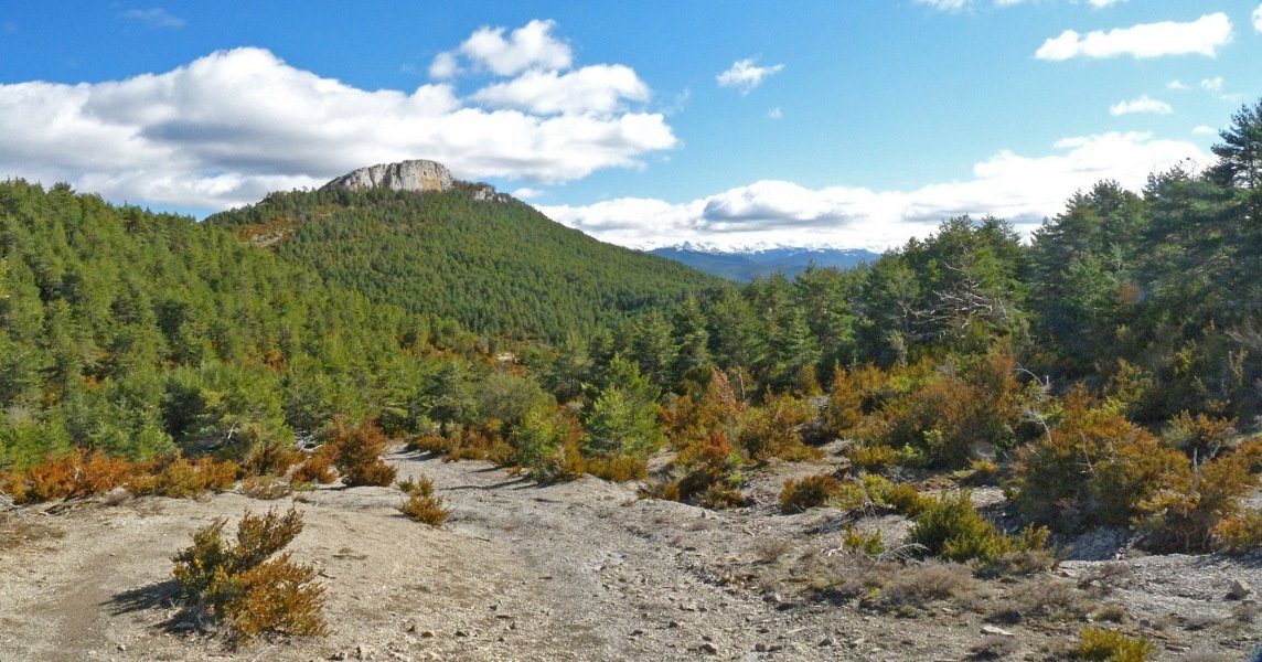 Alduko Harria, Itzalleko bidetik