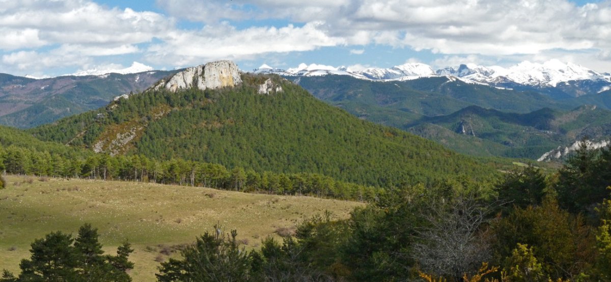 Alduko Harria, Sagarranako lepotik