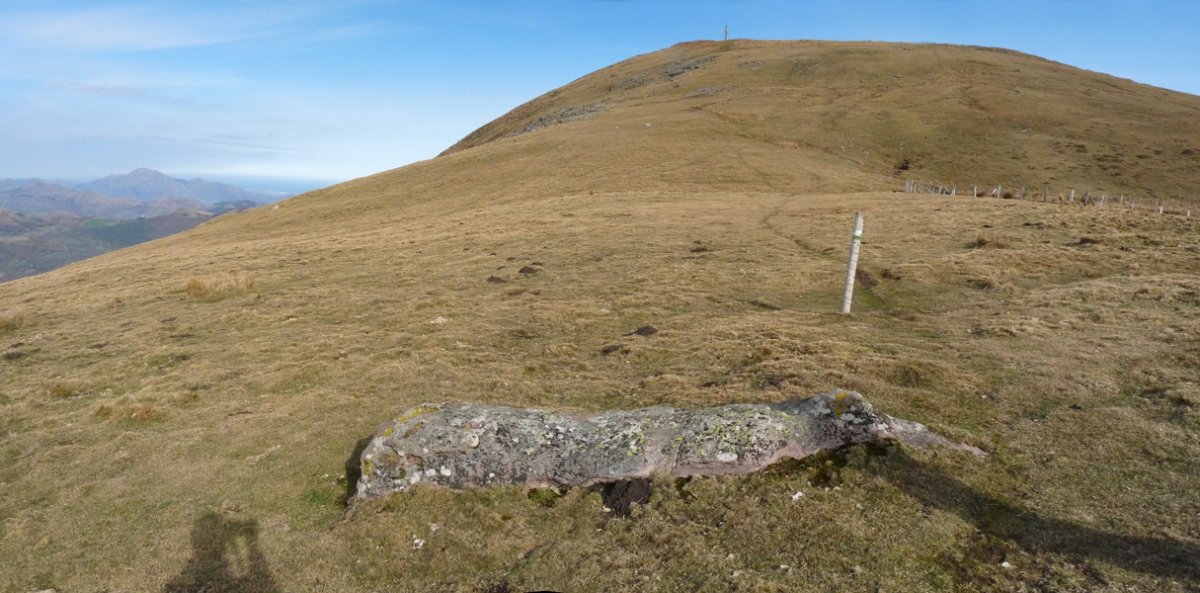 Maistrugaingo zutarria