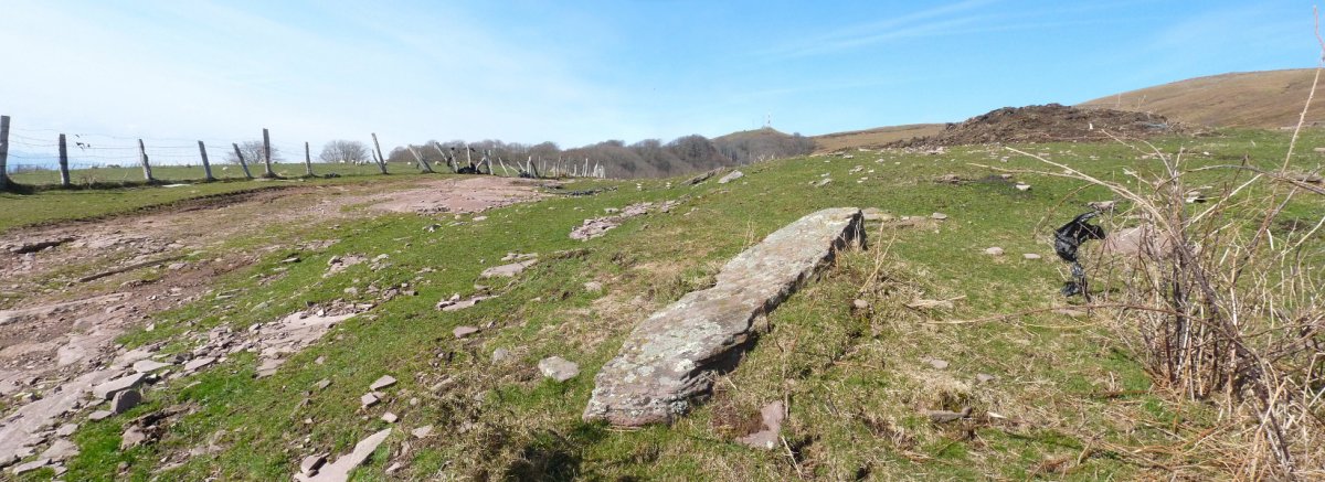 Ihintzpideko lepoko zutarria