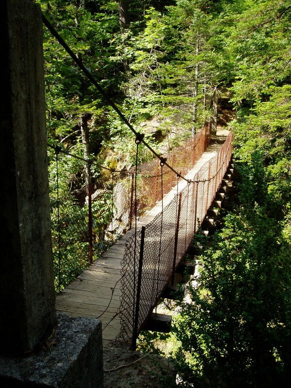 Zubi esekia As Trapas arroilan