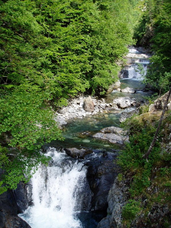 Ara erreka As Trapas arroilan