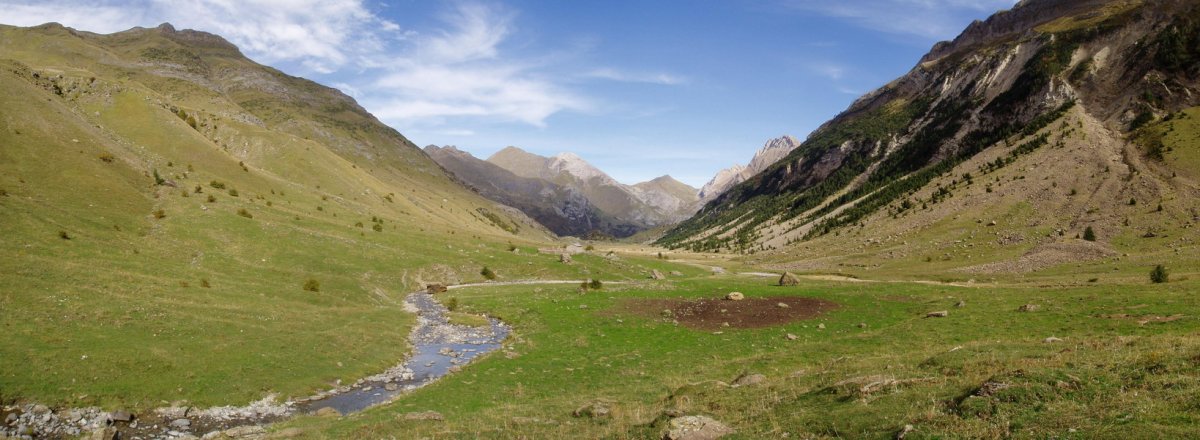 Otal bailararen barrenean