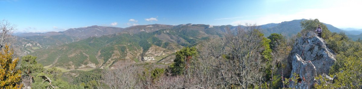 Zipuruko gailur harritsua