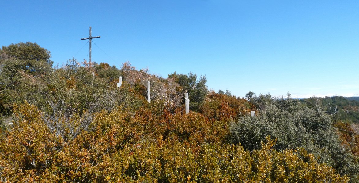 Aldaxurko gailurreko gurutzea