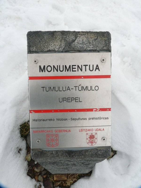 Urepelgo tumuluaren adierazgarria