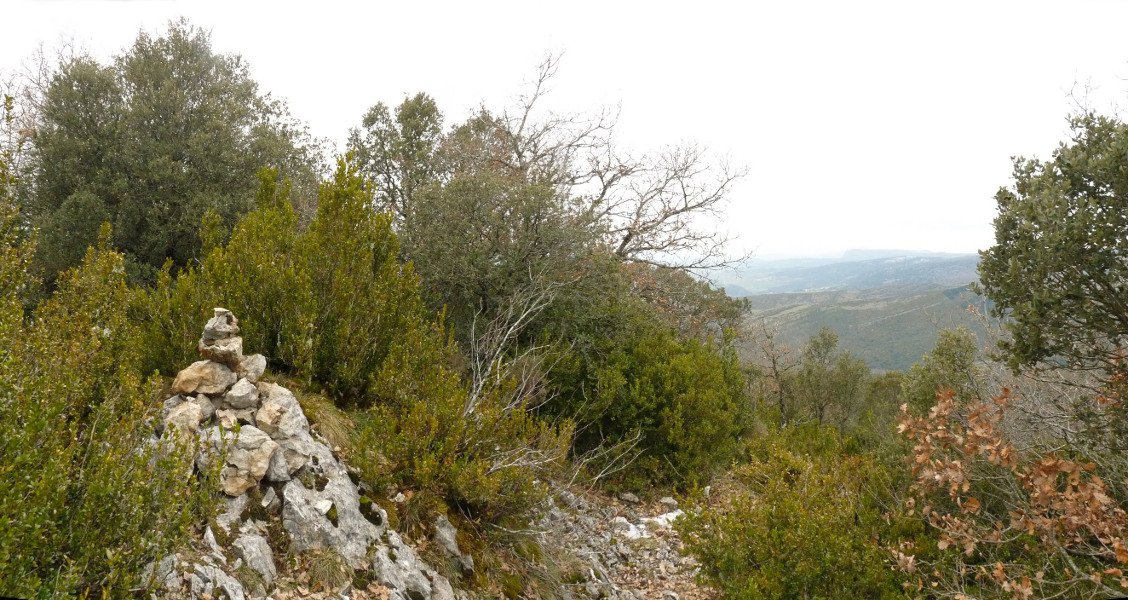 Soroluzetako gailurra