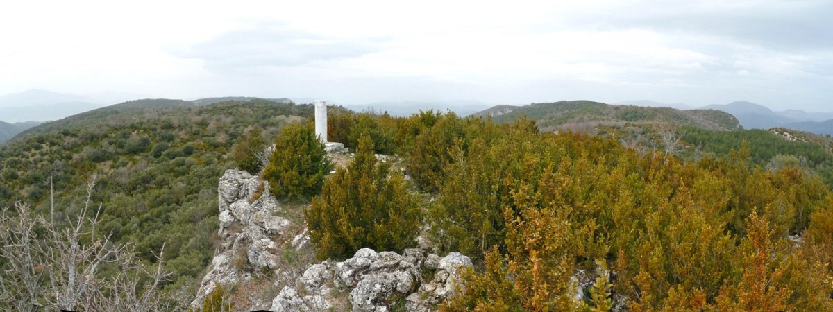 Zarikietako gailurra