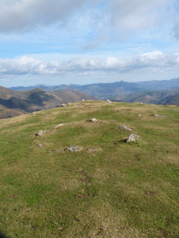 Egurtegiko harrespilak