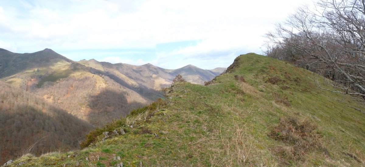 Dolameakako Kaskoa, gailurra