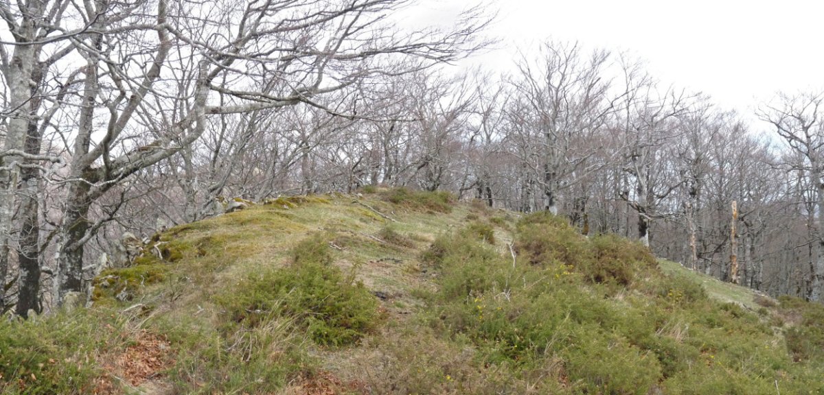 Azkurretako Kaskoa, gailurra