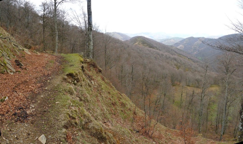 Artesiagako bidea. Hondoan, Dolameaka