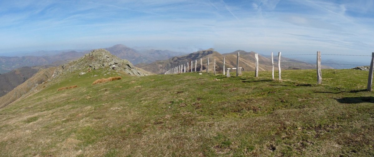 Laurinagako gailurra