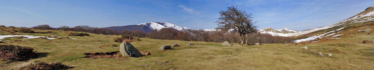 Soruluxeko harrespilak