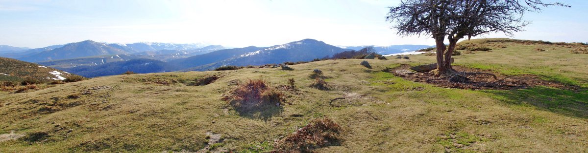 Soruluxeko harrespilak