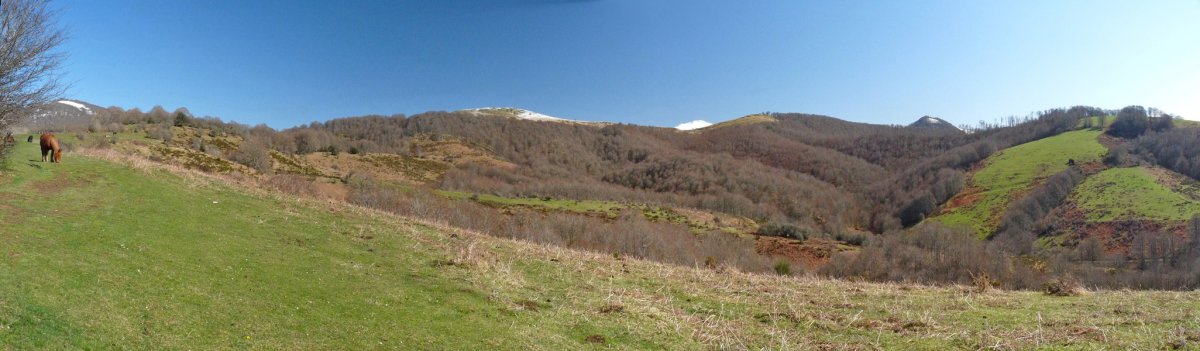 Azalegi (elurtua) eta Aritzelatz Berabezko bidetik