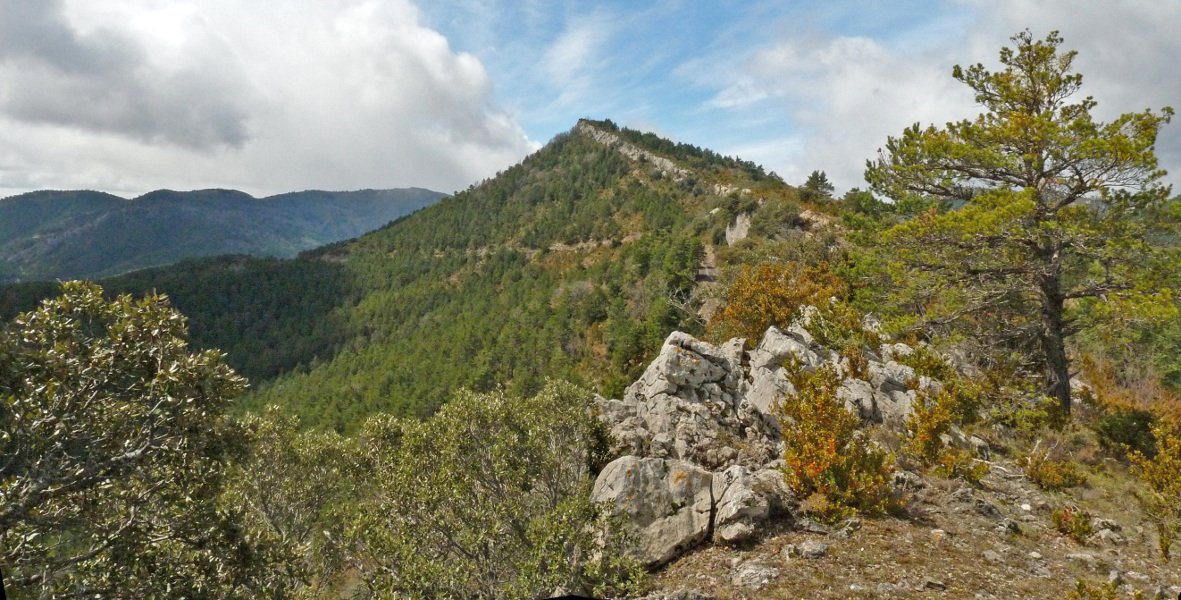 Santa Agata Arazekiko gandorretik