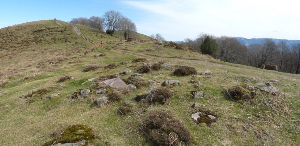 Azaldegiko lepoa harrespila. Atzean, Azaldegiko lepoko trikuharria