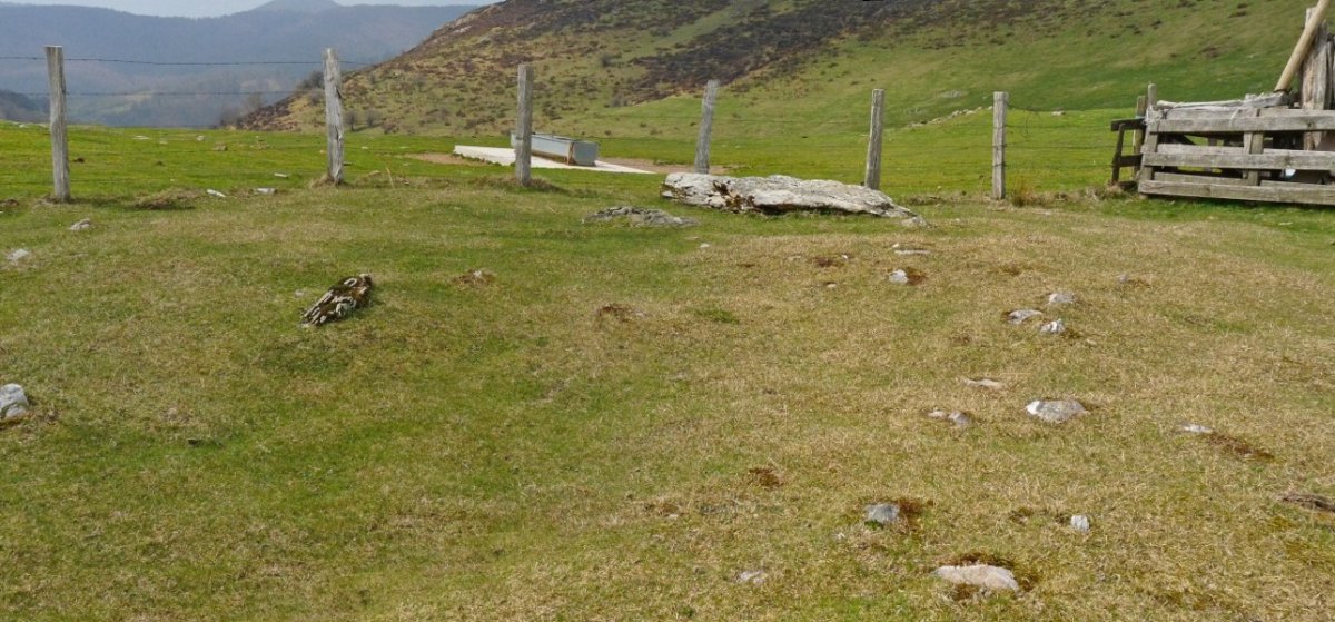 Beraskoain trikuharria