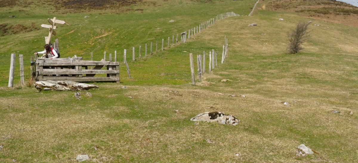 Beraskoain trikuharria